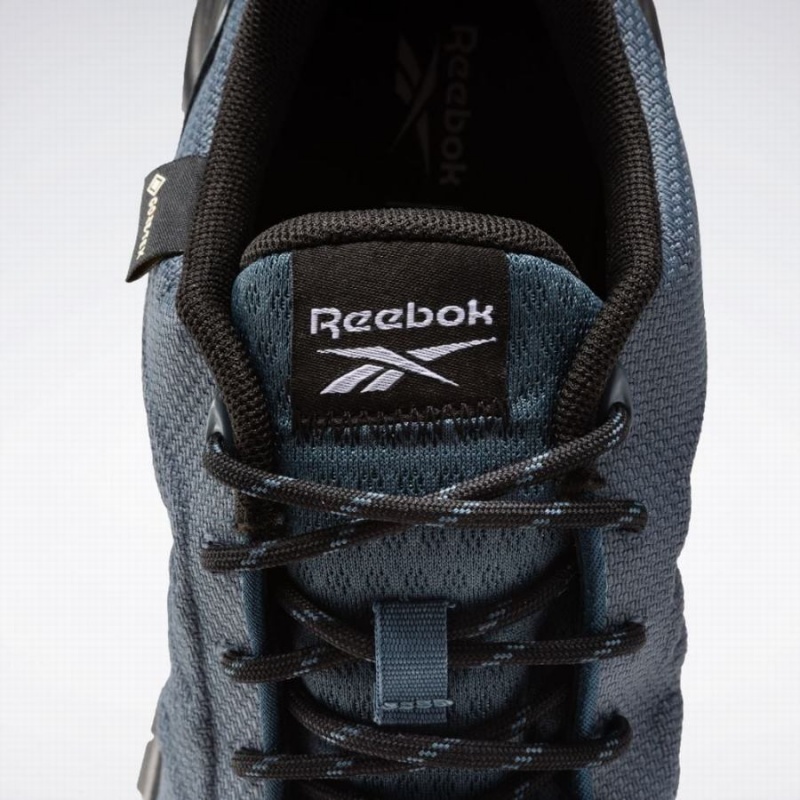 Reebok Astroride Trail Gtx 2.0 Men's Running Shoes Blue Black White | LNL1219EM