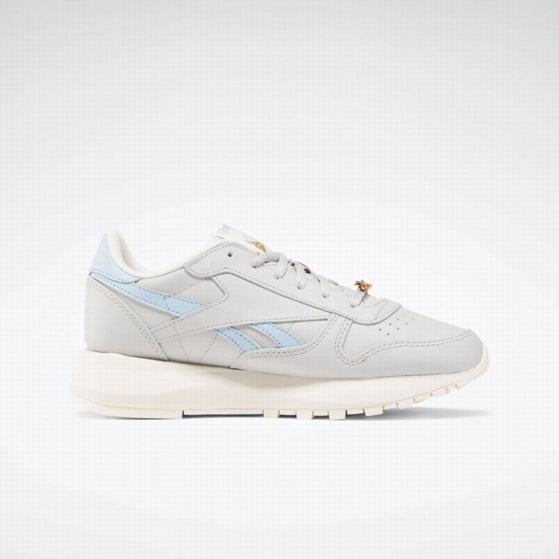 Reebok Classic Leather Sp Women's Shoes Grey Blue | AXM2549JL