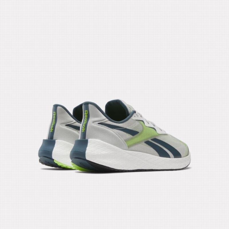 Reebok Floatride Energy Symmetros 2.5 Men's Running Shoes Grey Blue Light Green | CHS9163ZN